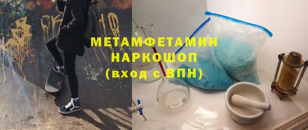 прущие грибы Новозыбков
