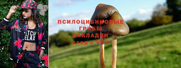 дживик Новокубанск