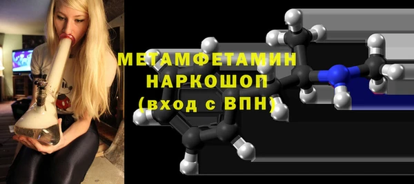 прущие грибы Новозыбков