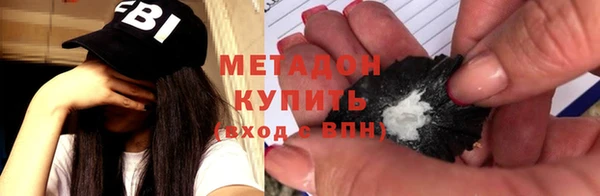 прущие грибы Новозыбков
