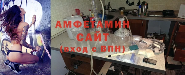 прущие грибы Новозыбков