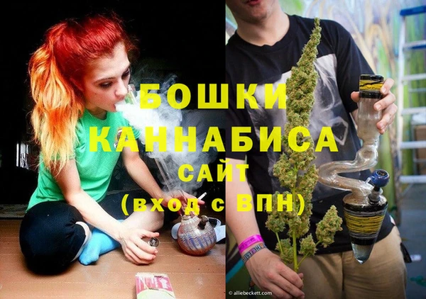 прущие грибы Новозыбков
