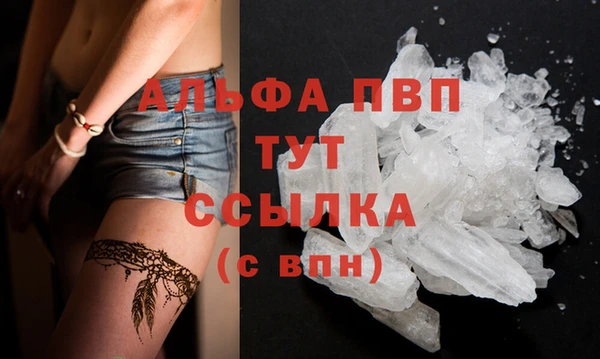 прущие грибы Новозыбков