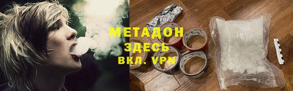 прущие грибы Новозыбков